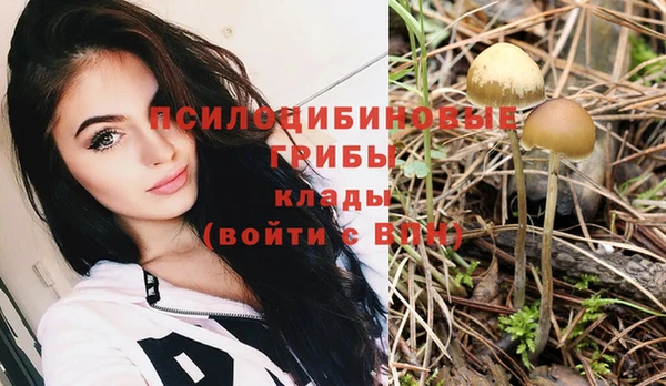 первитин Белокуриха