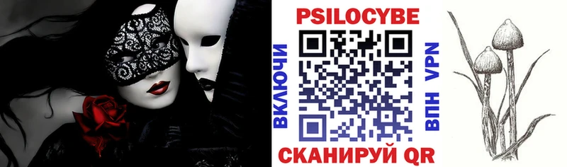 Псилоцибиновые грибы Cubensis  даркнет сайт  Чёрмоз 